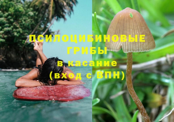 apvp Алзамай