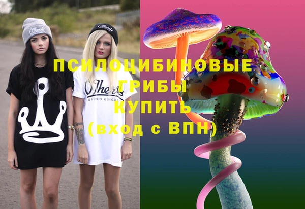 прущие крисы Алексин