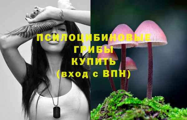 круглые Алексеевка