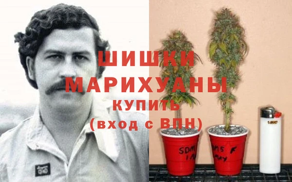 apvp Алзамай