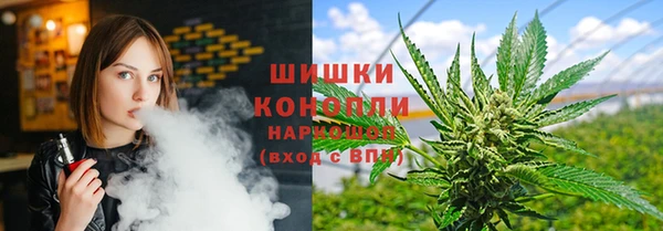 apvp Алзамай