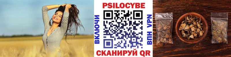 Галлюциногенные грибы прущие грибы  магазин продажи наркотиков  ОМГ ОМГ рабочий сайт  Лесосибирск 