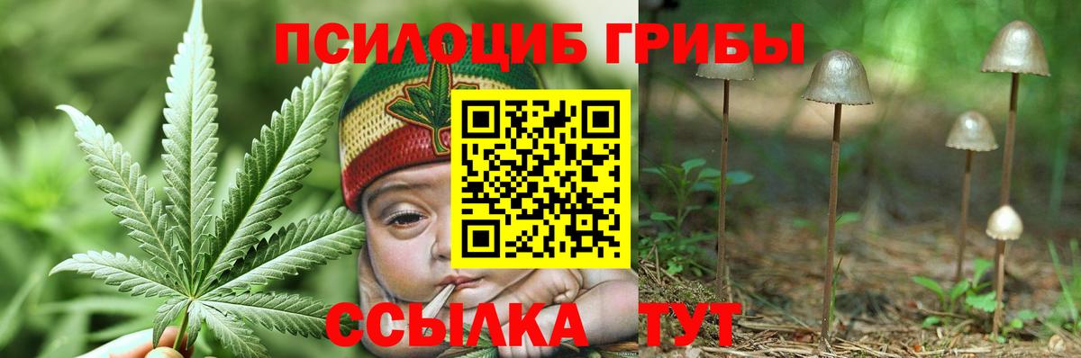 Лесосибирск  Галлюциногенные грибы MAGIC MUSHROOMS  Вход с VPN  Псилоцибиновые грибы мухоморы 